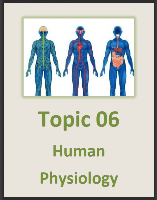 Course: IB Biology SL & HL, Topic: Topic 06 - Human Physiology